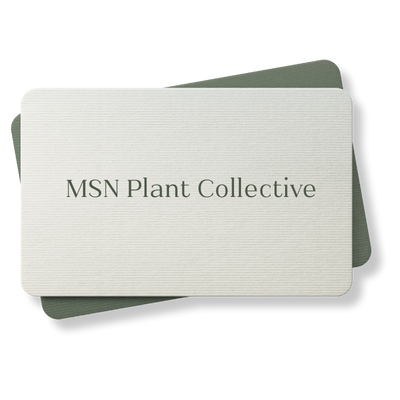 msn plant
